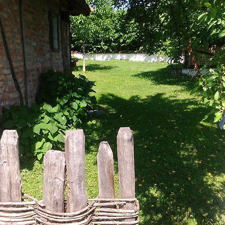 Lodge Morava Vrnjačka Banja Dış mekan fotoğraf