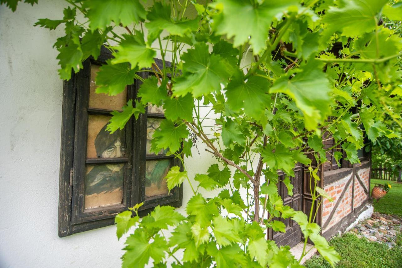 Lodge Morava Vrnjačka Banja Dış mekan fotoğraf