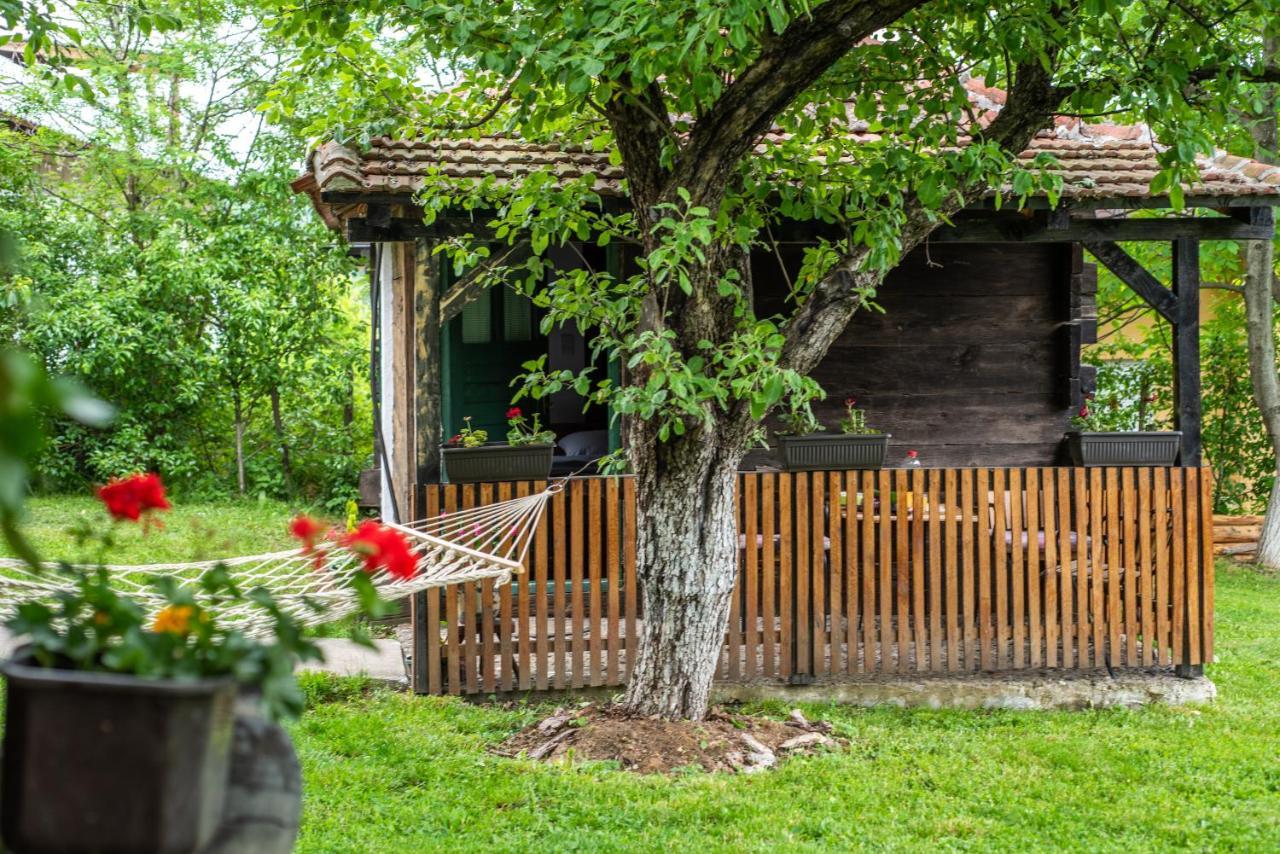 Lodge Morava Vrnjačka Banja Dış mekan fotoğraf