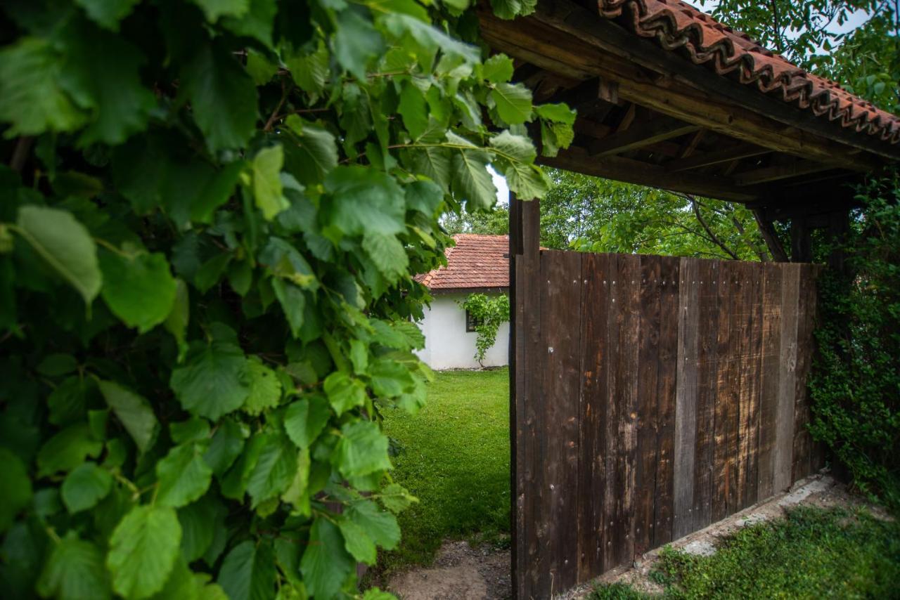 Lodge Morava Vrnjačka Banja Dış mekan fotoğraf